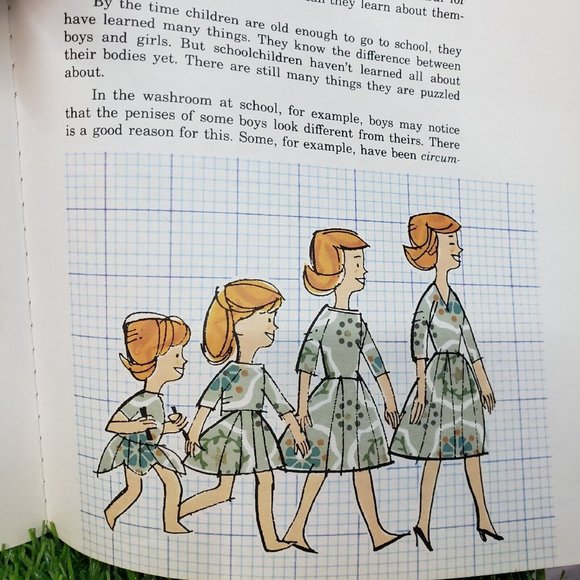 Wonderfully Made by Ruth Hummel Concordia Christian Sex Education Series 1967 - Picture 6 of 8